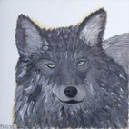 DP6 Wolf 2005
